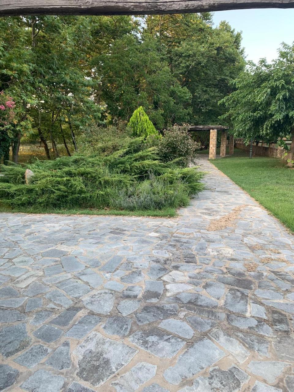 Platanorema Agios Ioannis Prodromos Exterior photo