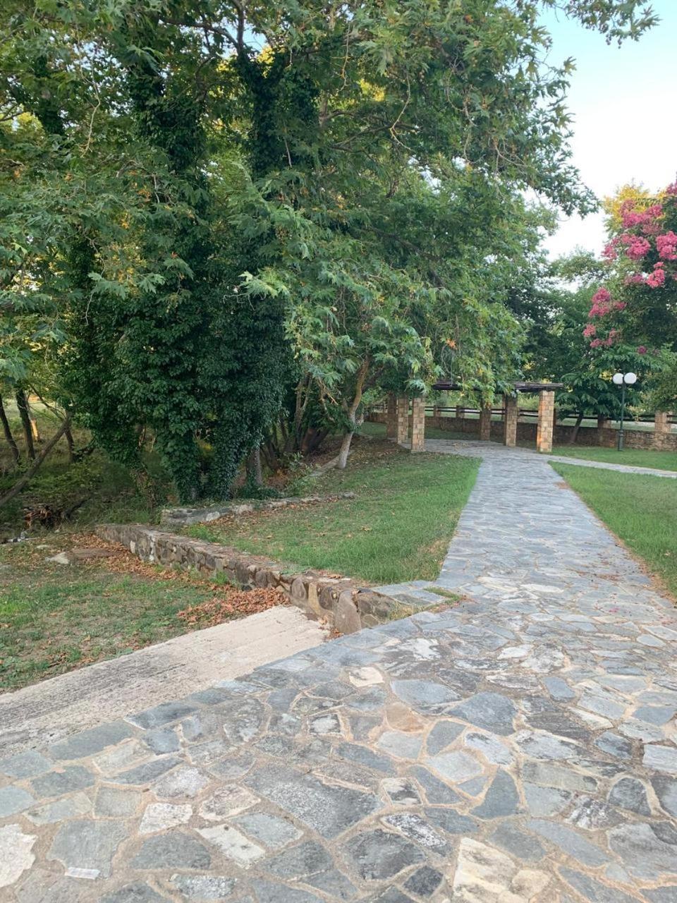 Platanorema Agios Ioannis Prodromos Exterior photo